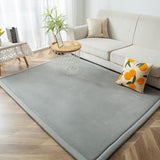 BYBYME Coral Velvet Rug 3cm  Crawling Carpet NonSlip Fluffy Grey 200x200cm (035)