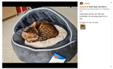 Trixie Cuddly Cat Dog Cave Pet Bed - Plush Luxury Warm Igloo Sleeping Nest 55cm